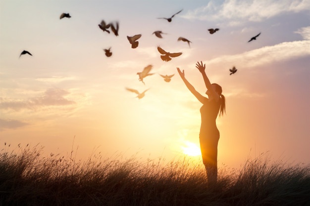 Letting go of birds