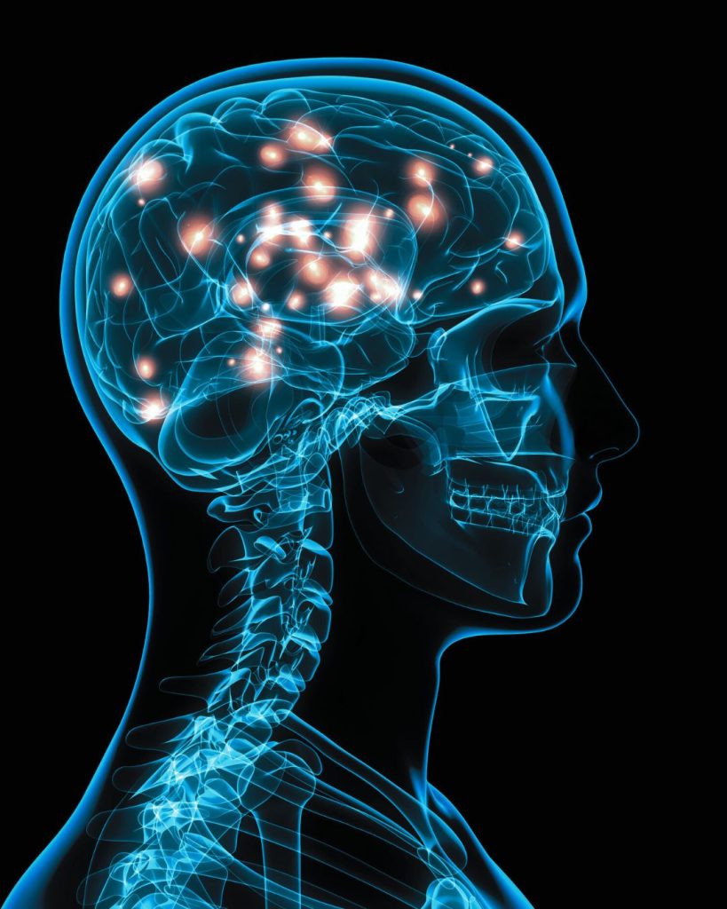Digital illustration of a human head with glowing neural pathways, representing brain processing and trauma healing in Brainspotting therapy.