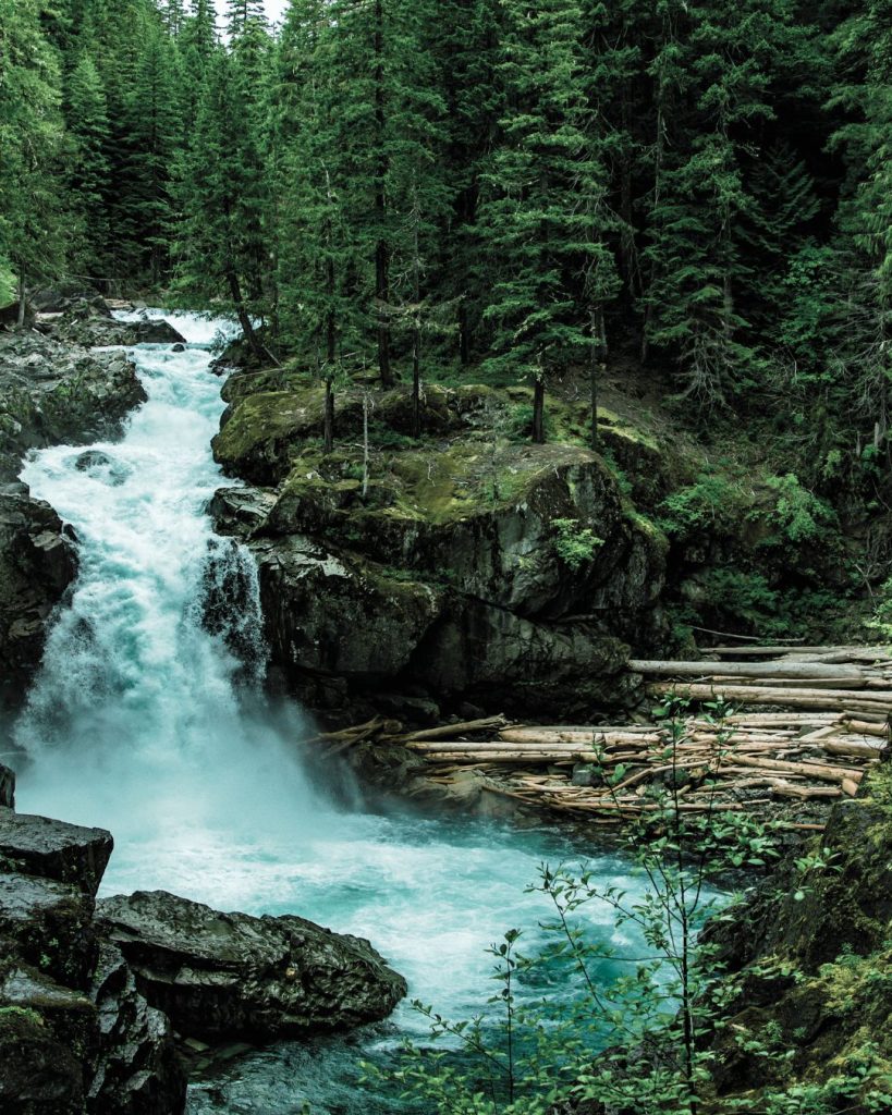 Powerful turquoise river flowing through a forest of evergreen trees, symbolising strength, movement and healing after trauma.